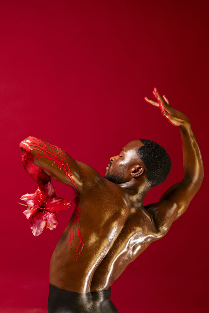 BOLERO X